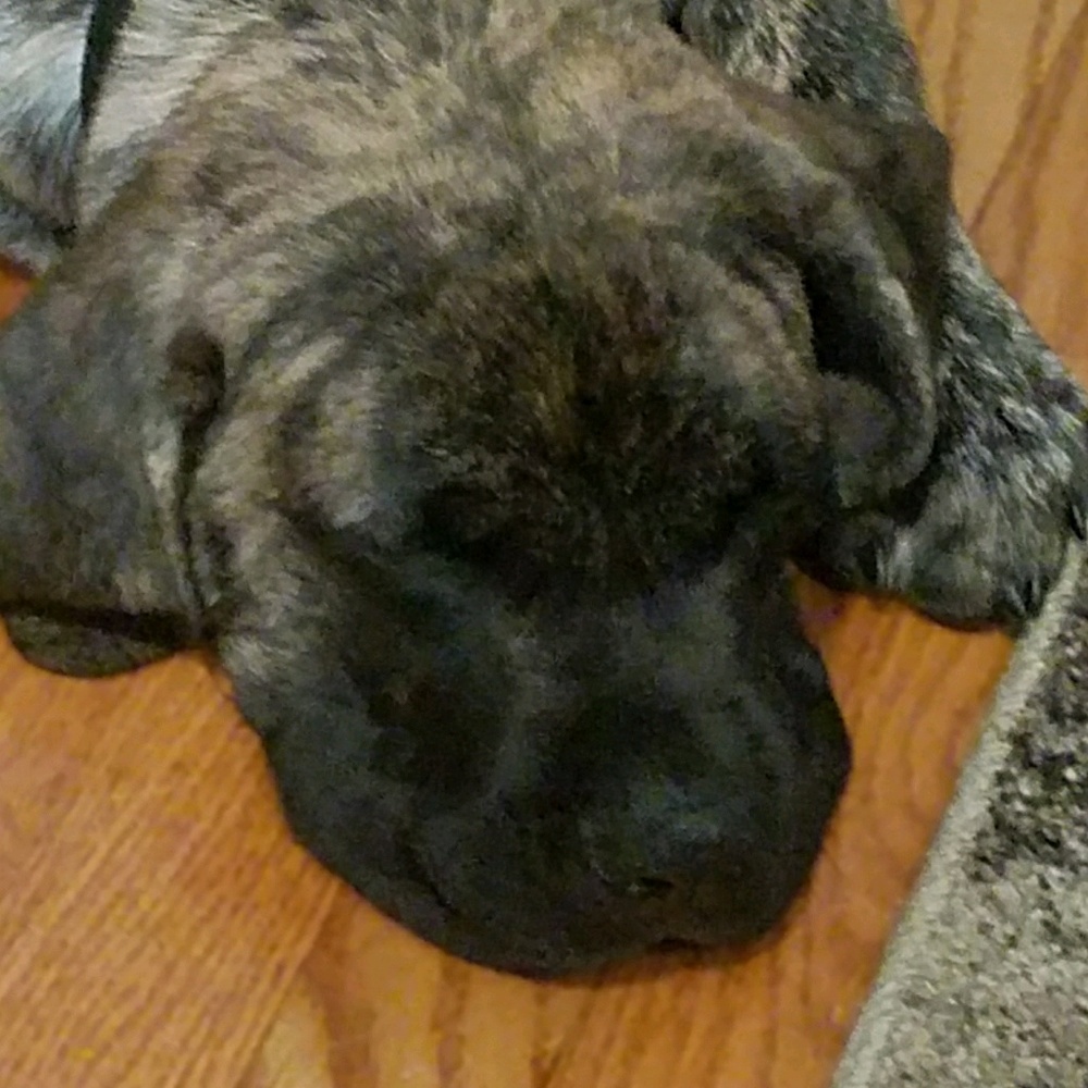 Meet your Posher, Aimee